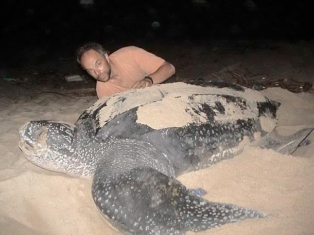 Roca Mar Playa Bonita Ξενοδοχείο Πουέρτο Λιμόν Εξωτερικό φωτογραφία
